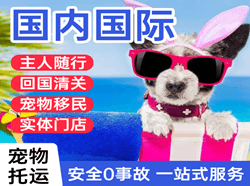 三源浦空运地址国际宠物托运 【国